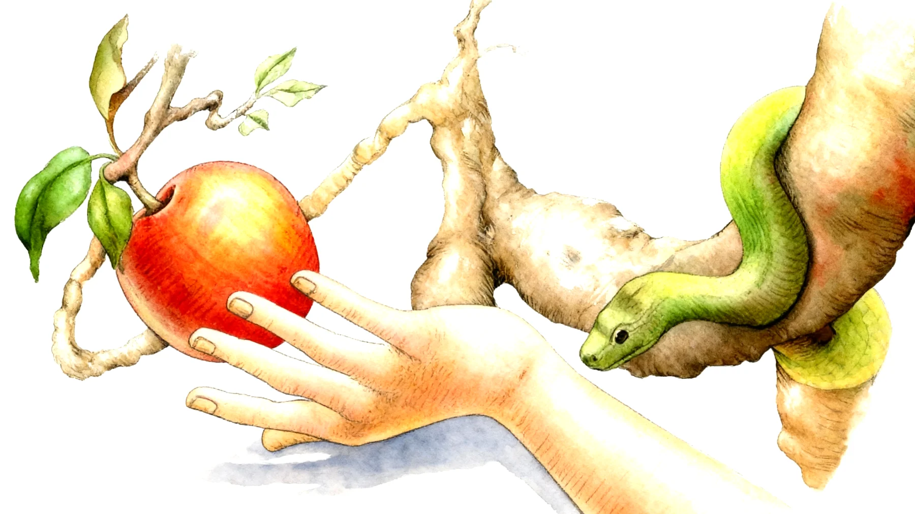 Forbidden Fruit2026-01-13T08:55:12.957Z"